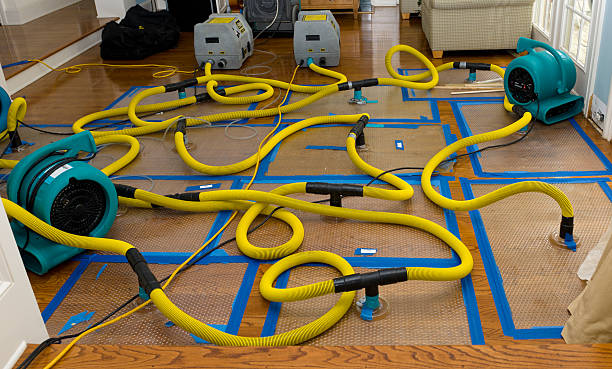 Professional Emergency Water Removal technician working in Lone Jack, MO